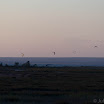 _MG_6219.jpg