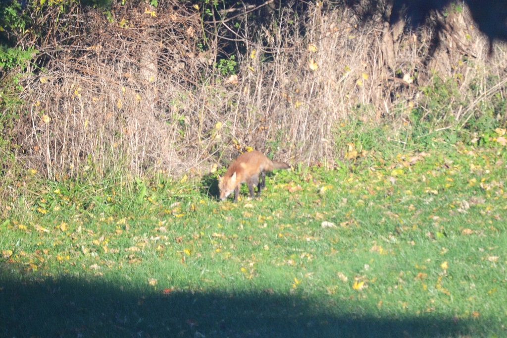 [DSC_2605s%255B4%255D.jpg]