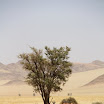 IMG_0897.JPG