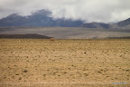 No sign of life kilometres around this donkey