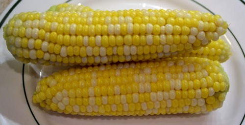 [finished-sweet-corn3.jpg]