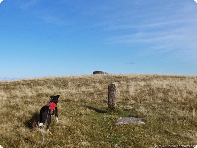 waun claerddu waun claerddu
