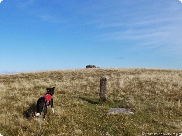 waun claerddu