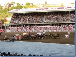 9567 Alberta Calgary Stampede 100th Anniversary - GMC Rangeland Derby & Grandstand Show - Chuckwagon Races