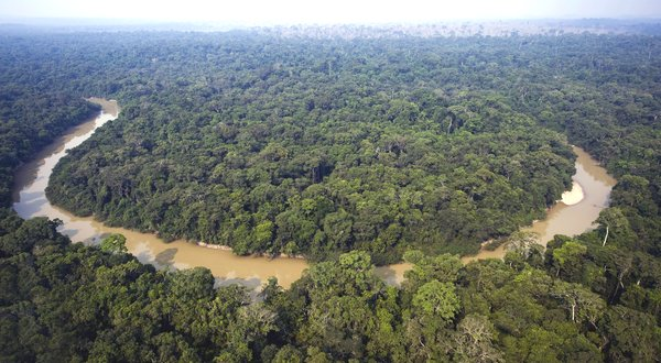 The Jamanxim River runs through forest in northern Brazil. Vast tracts of protected Brazilian land would be opened to farming under a bill that President Dilma Rousseff, below, may veto. Antonio Scorza / Agence France-Presse / Getty Images