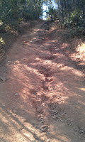IMAG0065.jpg Photo