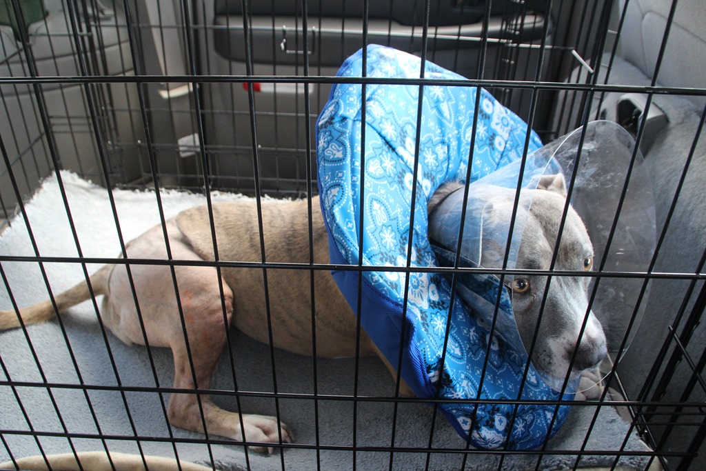 [IMG_0857%255B4%255D.jpg]