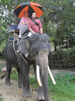 on an elephant in Koh Samui, Thailand.