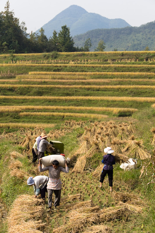 Farmers in Getu