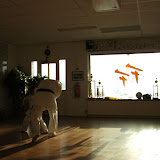 BILD0239.JPG