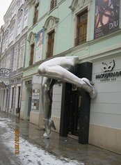 IMG_2804 IMG_2804