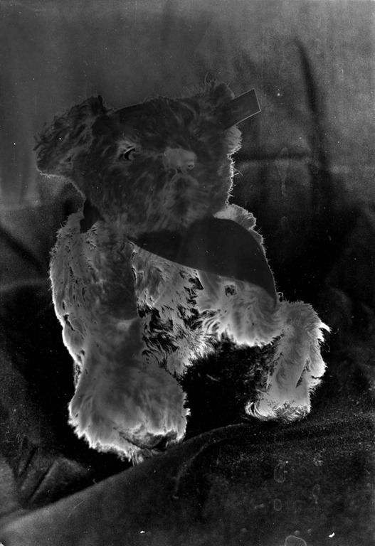[Split-Toned-Prints---Bears-1-B%255B9%255D.jpg]
