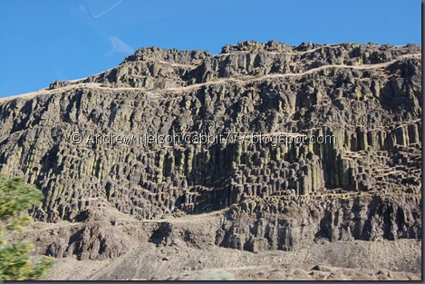 DSC_0979 DSC_0979