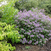 DSC03018.JPG