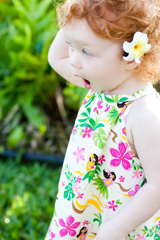 [20121219-IMG_5112%255B3%255D.jpg]