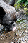 You're right - it is water!