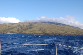 DSC_0825.JPG