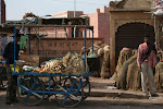 Jodhpur, India 011.JPG