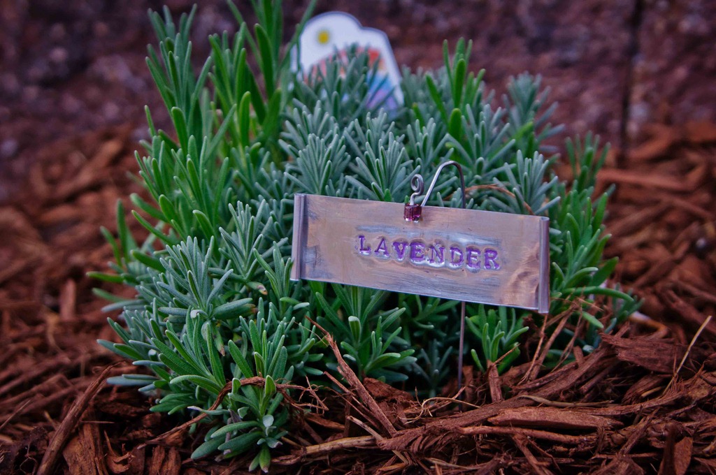 [GardenMarker110626-1%255B4%255D.jpg]