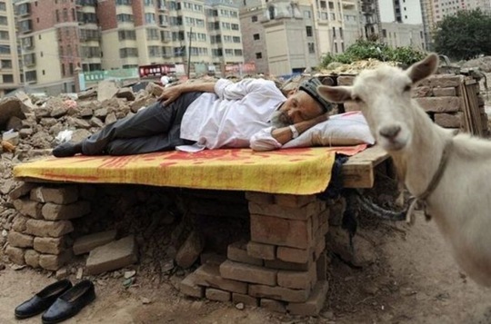 [viral-picdump-pics-5%255B2%255D.jpg]