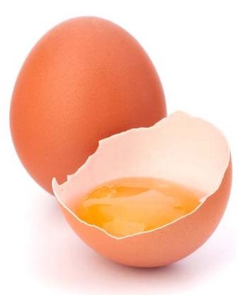 [eggs%255B3%255D.jpg]