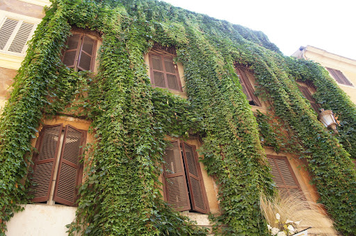Rome, Italy.