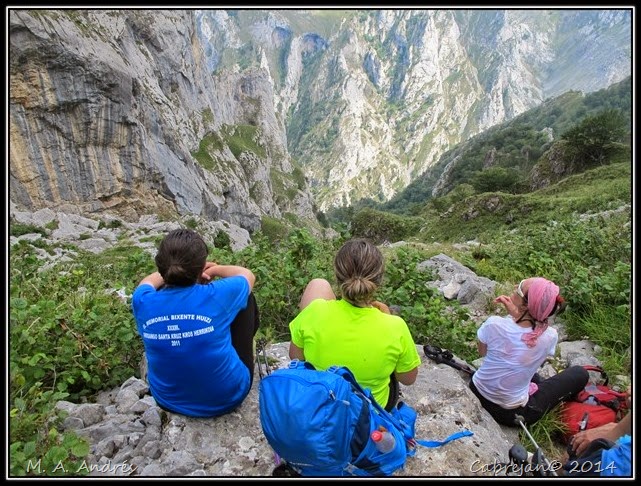 Picos 510 Picos 510