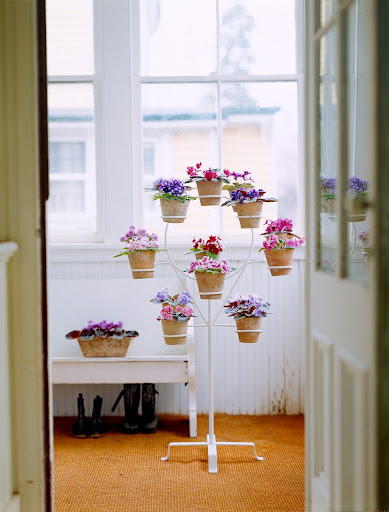Martha Stewart Living, May 2001.