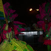 DSCN4599.JPG