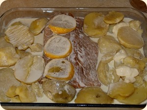 P1080340 P1080340