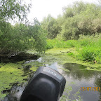 IMG_3467.JPG