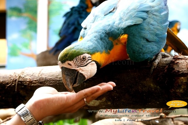 Langkawi Wildlife Park Langkawi Wildlife Park
