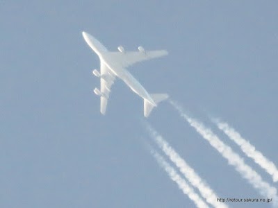 IMG_7979.JPG