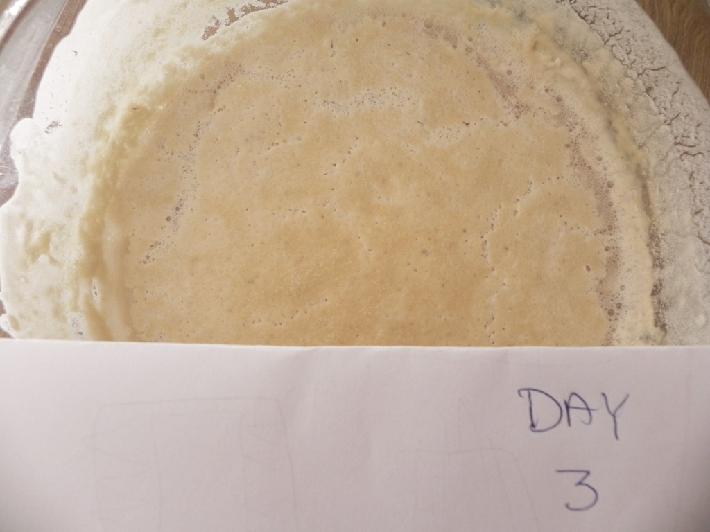 [sourdough-starter-2%255B9%255D.jpg&description=Sourdough Starter Recipe')]