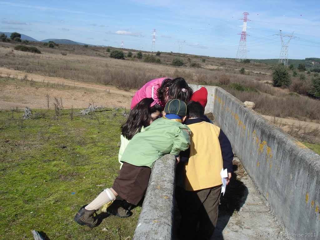 [DSC07209%255B3%255D.jpg]