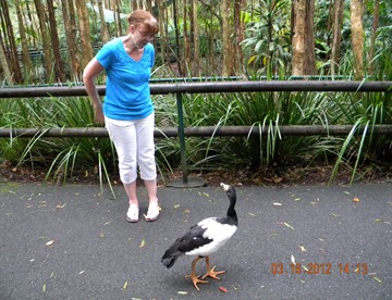 Linda Explaining To The Goose We were Not  Going To Feed Him