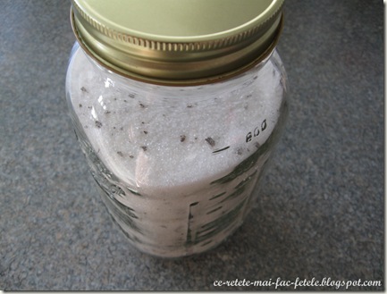 Zahăr vanilat de casă - pastram intr-un borcan cu capac