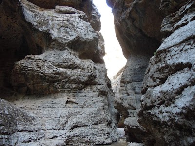 DSCN3864.jpg