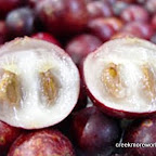 Camu Camu fruit