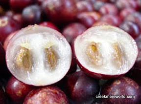Camu Camu fruit