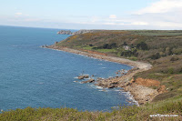 IMG_7962.JPG Photo