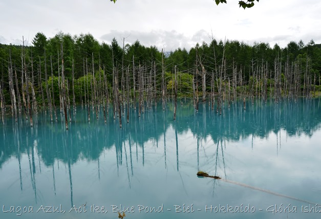 Lagoa Azul - Biei - Hokkaido - Glória Ishizaka - 6