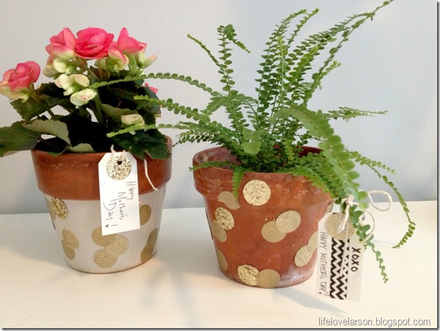 polka dot pot 1