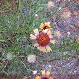 Bandelier Natl Monument- Santa Fé, AZ