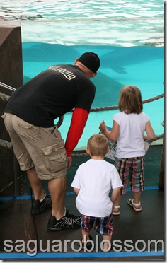 IMG_7446 IMG_7446