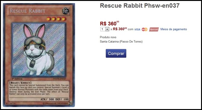rescue rabbit
