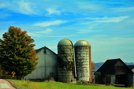 Listonburg Road2