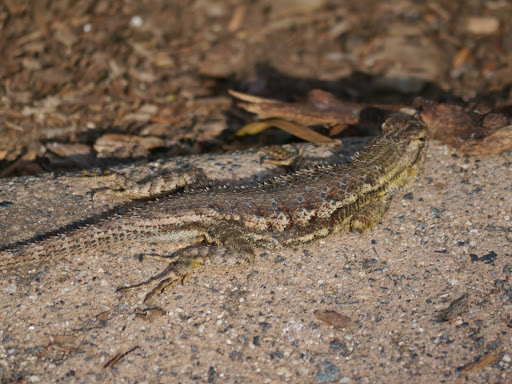 P1060440