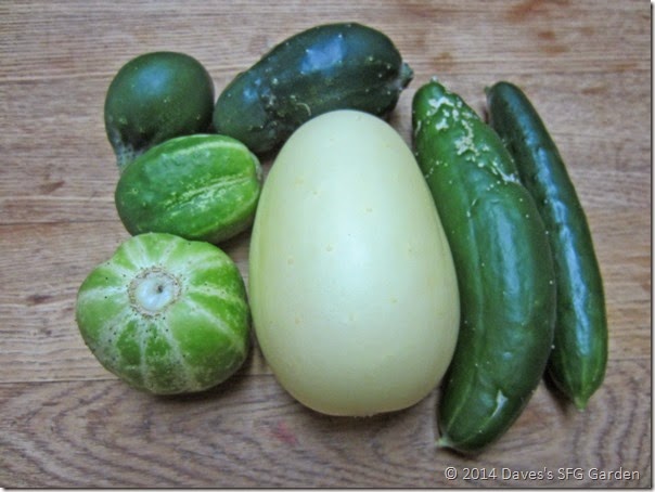 cucumbers