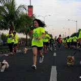 Pet Express Doggie Run 2012 Philippines. Jpg (86).JPG